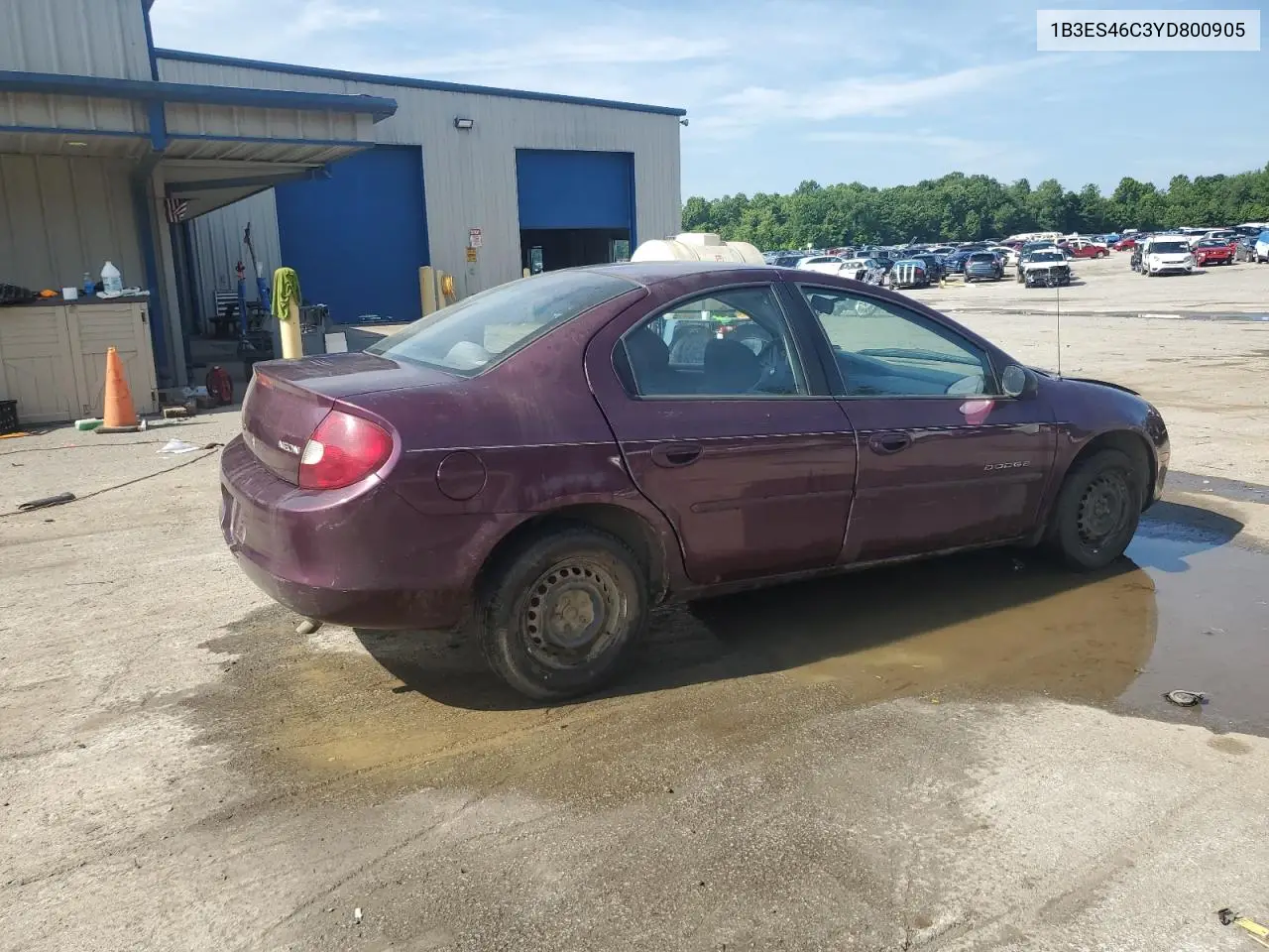2000 Dodge Neon Base VIN: 1B3ES46C3YD800905 Lot: 62514185