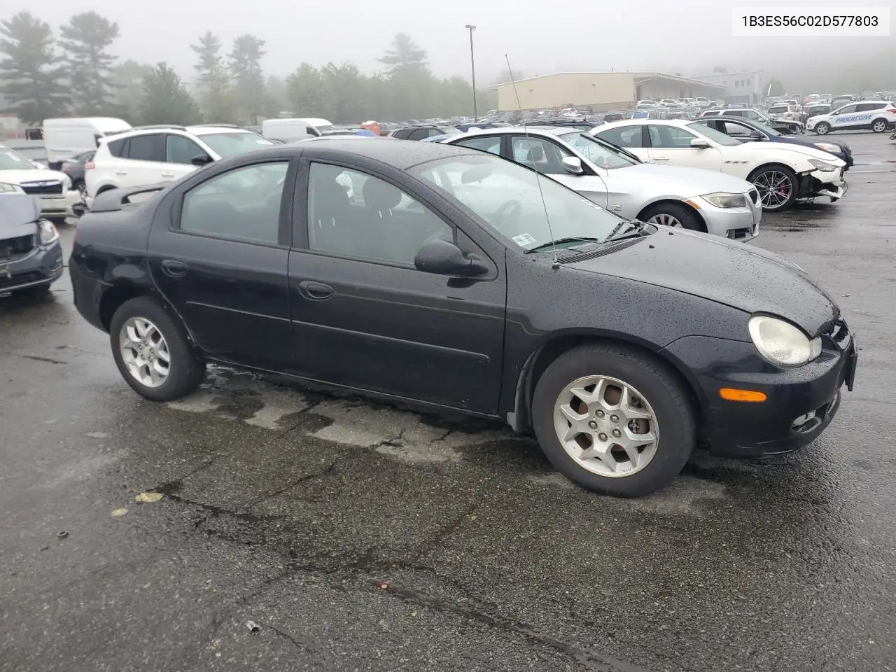 2002 Dodge Neon Es VIN: 1B3ES56C02D577803 Lot: 58838175