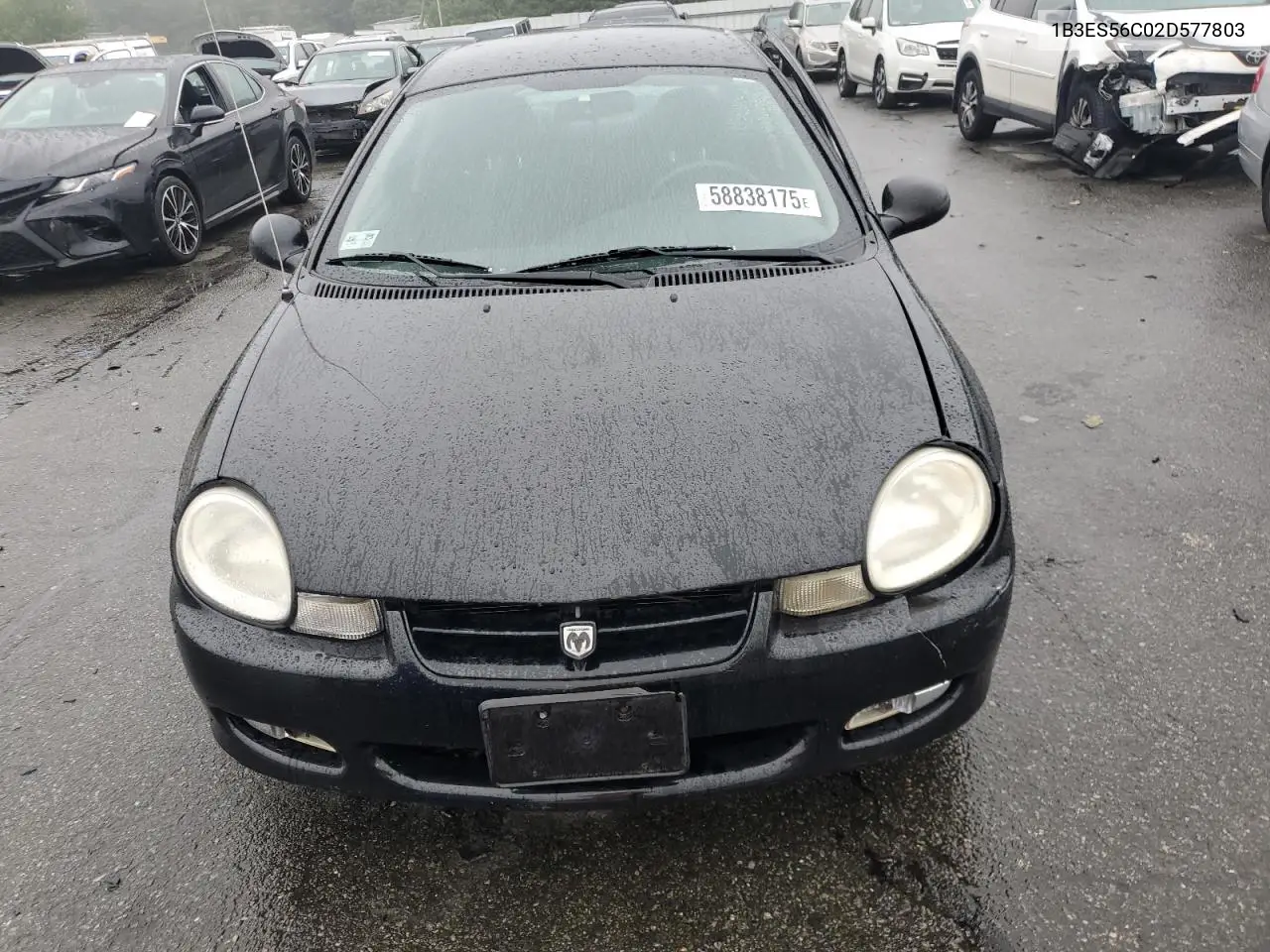 2002 Dodge Neon Es VIN: 1B3ES56C02D577803 Lot: 58838175