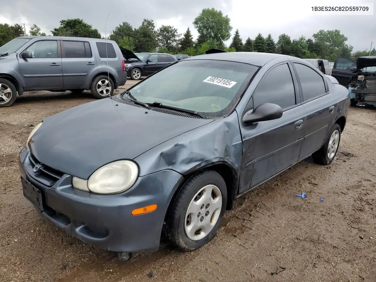 2002 Dodge Neon VIN: 1B3ES26C82D559709 Lot: 59219105