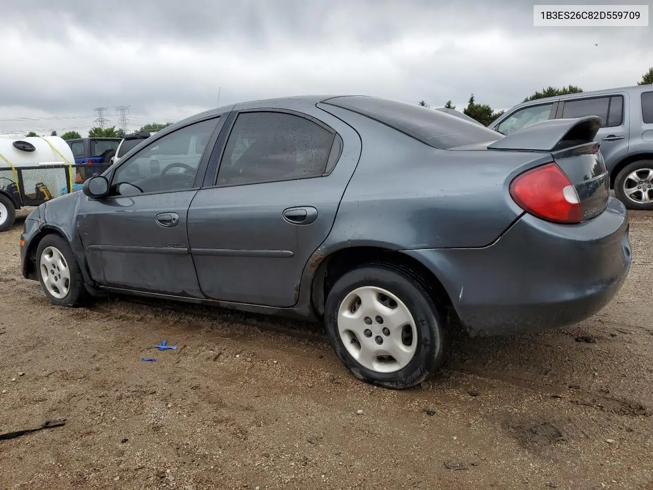 2002 Dodge Neon VIN: 1B3ES26C82D559709 Lot: 59219105