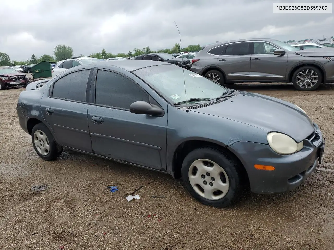 2002 Dodge Neon VIN: 1B3ES26C82D559709 Lot: 59219105