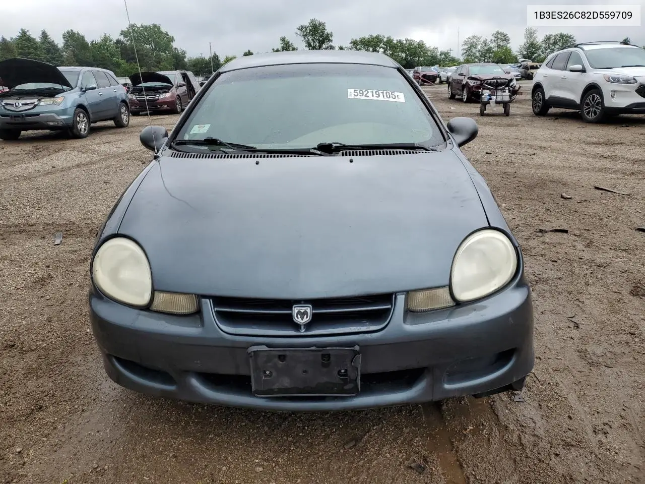 2002 Dodge Neon VIN: 1B3ES26C82D559709 Lot: 59219105