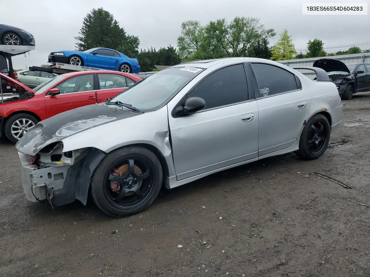 2004 Dodge Neon Srt-4 VIN: 1B3ES66S54D604283 Lot: 56724555