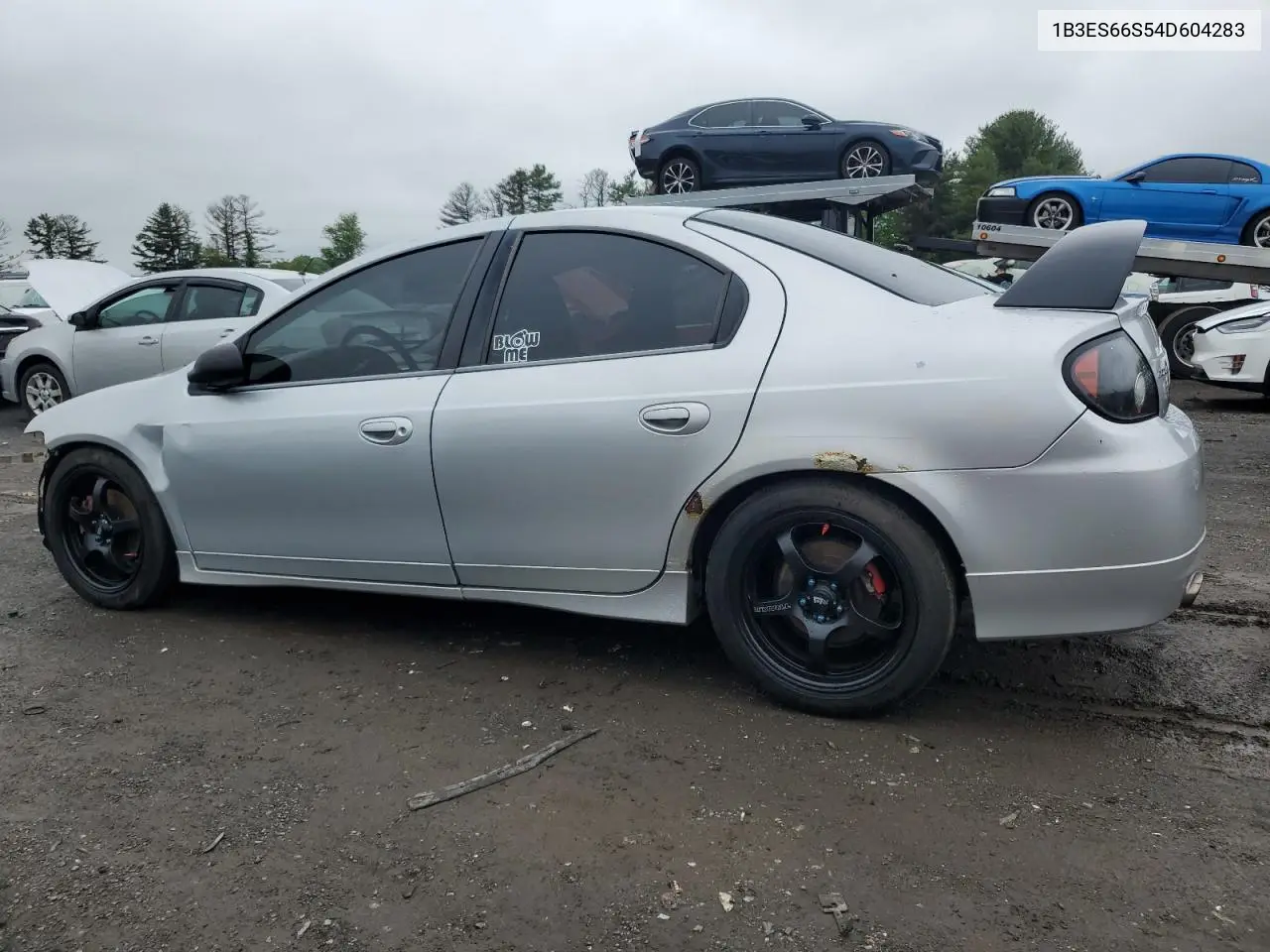 2004 Dodge Neon Srt-4 VIN: 1B3ES66S54D604283 Lot: 56724555
