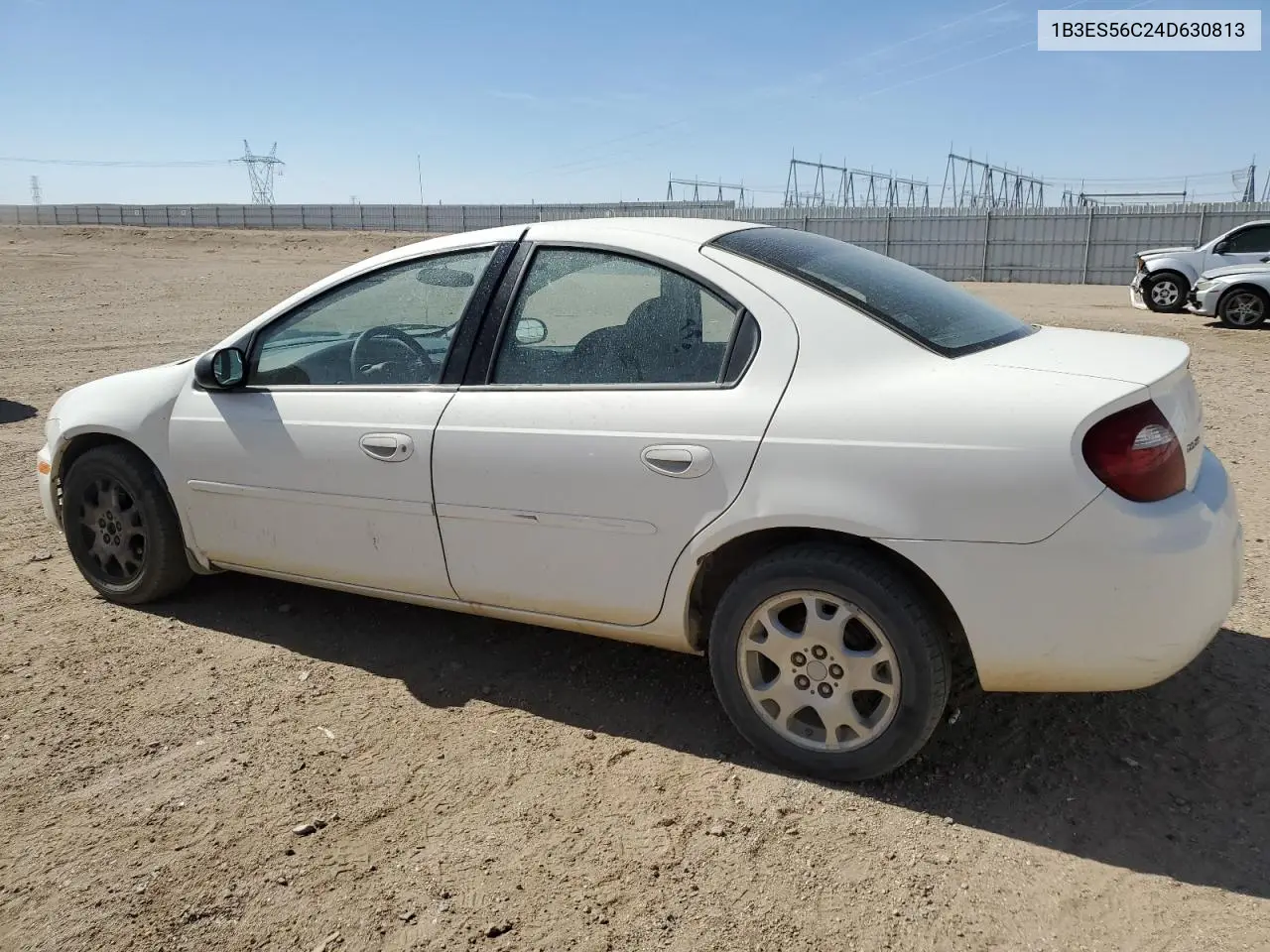 2004 Dodge Neon Sxt VIN: 1B3ES56C24D630813 Lot: 60723685