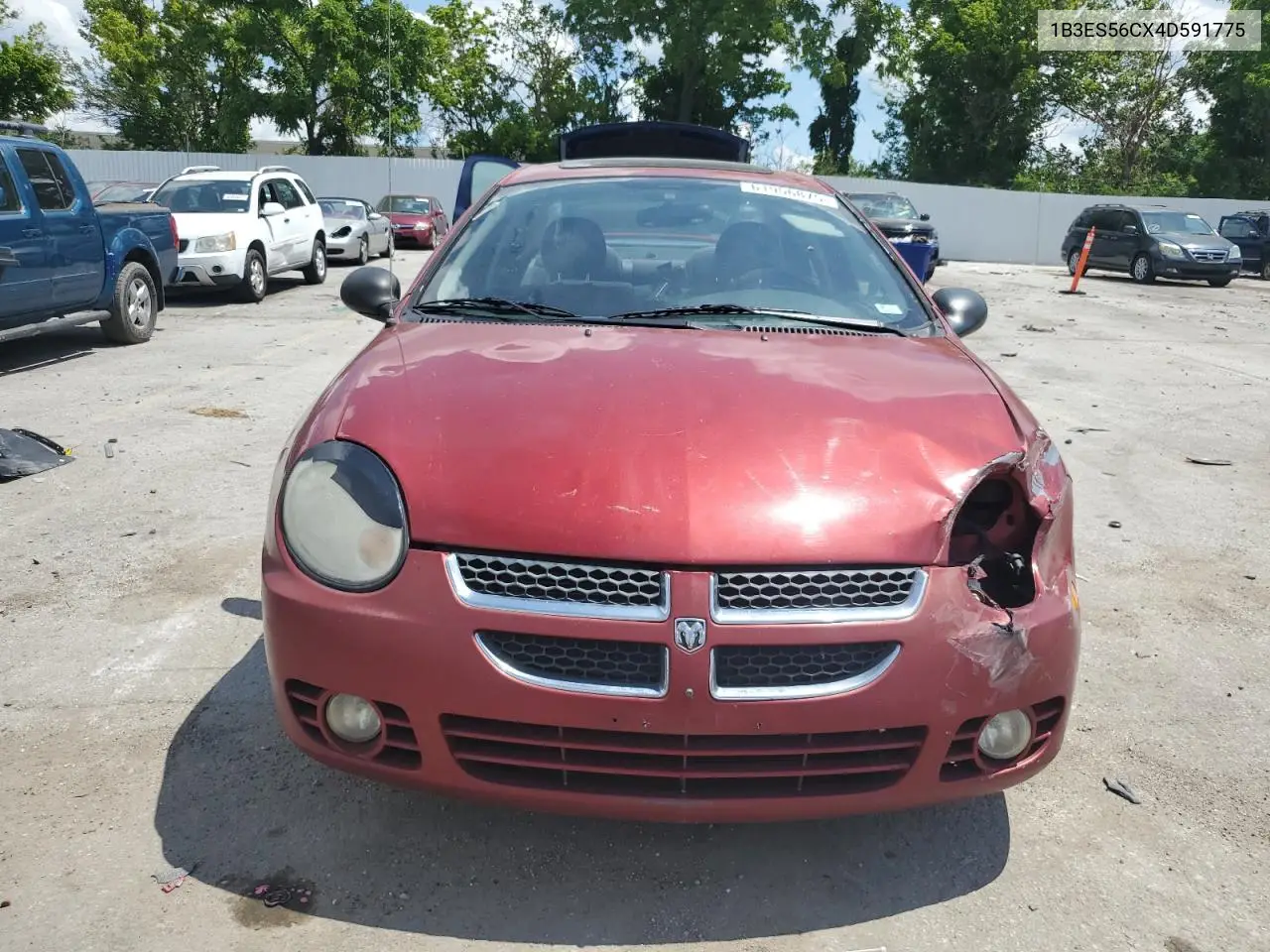 2004 Dodge Neon Sxt VIN: 1B3ES56CX4D591775 Lot: 61956875