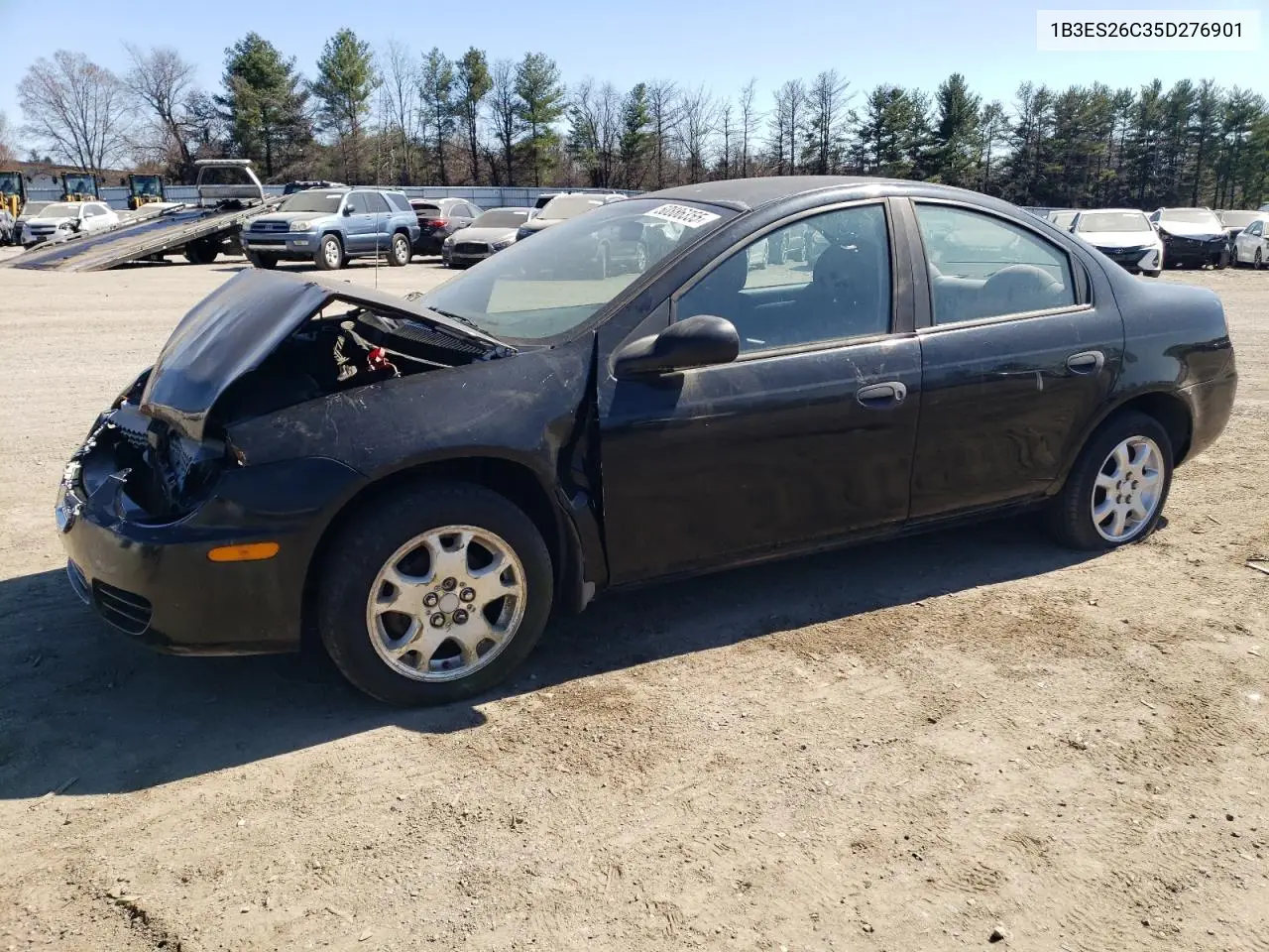 2005 Dodge Neon Base VIN: 1B3ES26C35D276901 Lot: 50886355