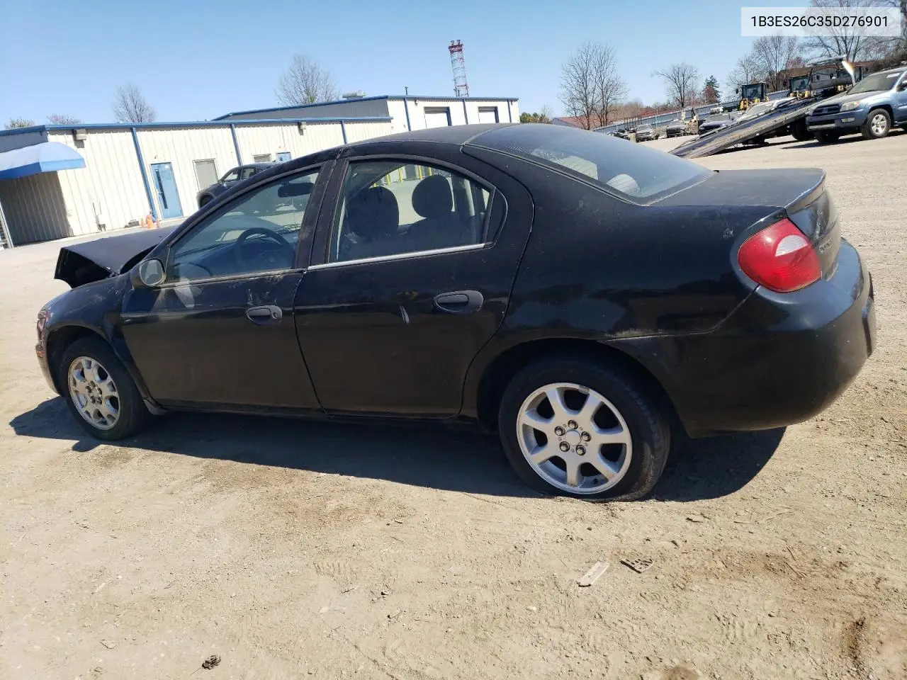 2005 Dodge Neon Base VIN: 1B3ES26C35D276901 Lot: 50886355