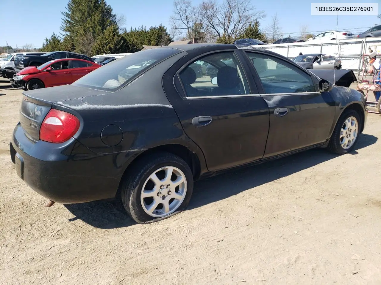 2005 Dodge Neon Base VIN: 1B3ES26C35D276901 Lot: 50886355