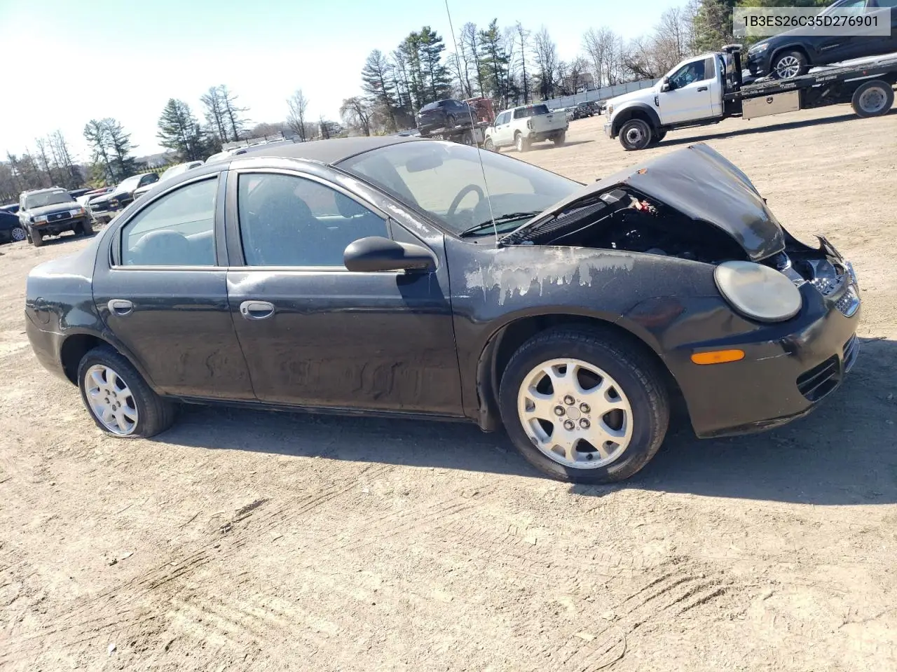 2005 Dodge Neon Base VIN: 1B3ES26C35D276901 Lot: 50886355