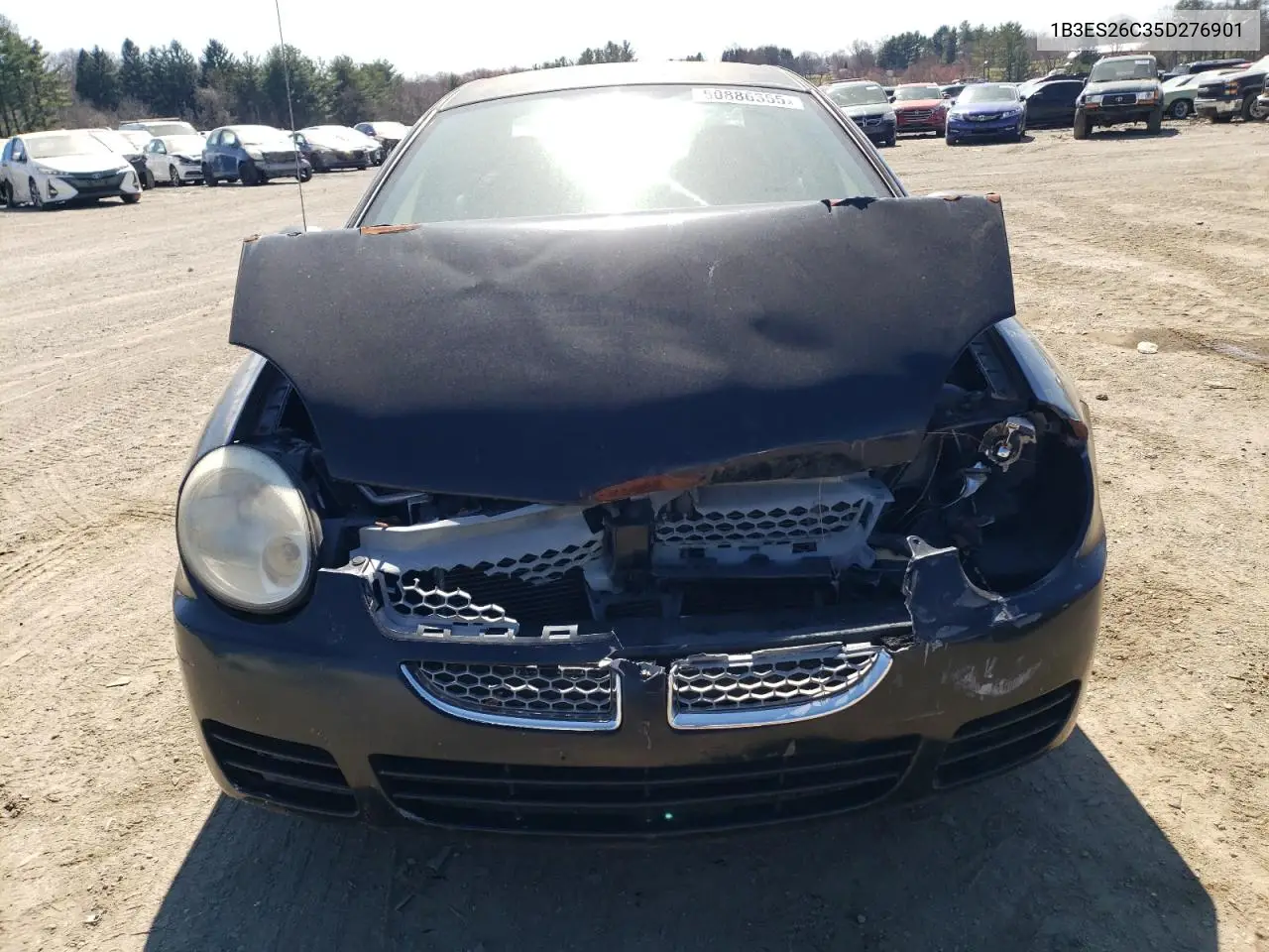 2005 Dodge Neon Base VIN: 1B3ES26C35D276901 Lot: 50886355