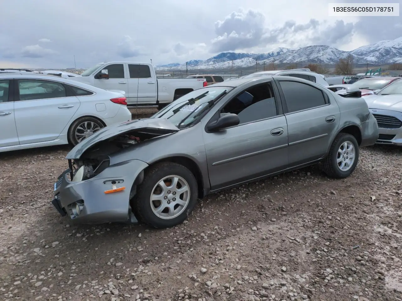 2005 Dodge Neon Sxt VIN: 1B3ES56C05D178751 Lot: 51680795