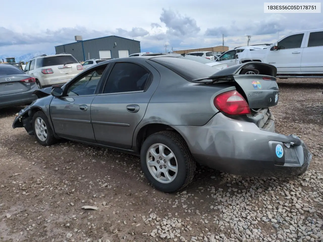 2005 Dodge Neon Sxt VIN: 1B3ES56C05D178751 Lot: 51680795
