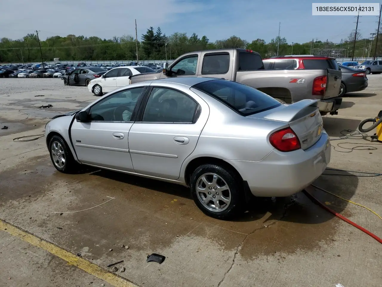 2005 Dodge Neon Sxt VIN: 1B3ES56CX5D142131 Lot: 54055695