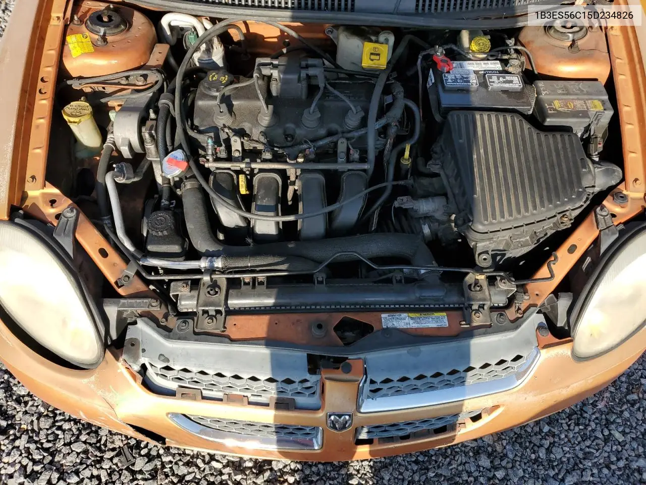 2005 Dodge Neon Sxt VIN: 1B3ES56C15D234826 Lot: 54544395