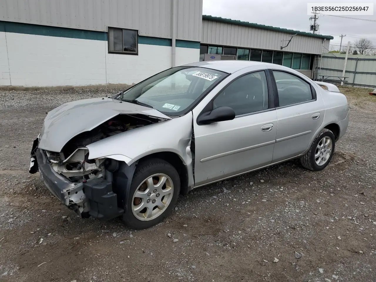 2005 Dodge Neon Sxt VIN: 1B3ES56C25D256947 Lot: 55819975