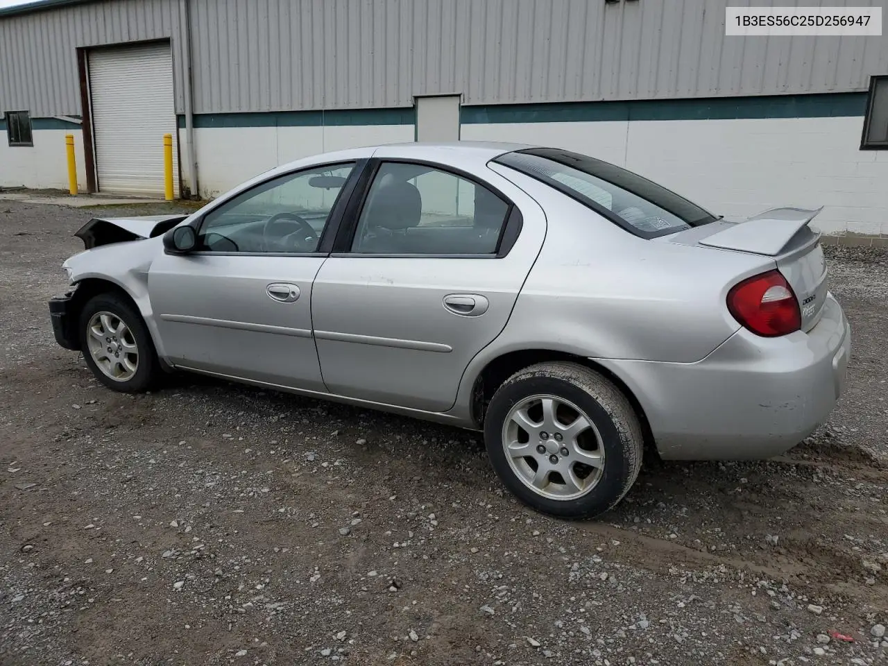 2005 Dodge Neon Sxt VIN: 1B3ES56C25D256947 Lot: 55819975