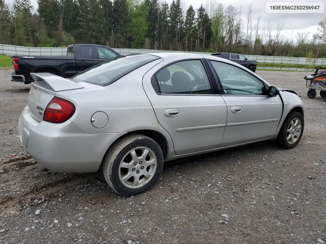 2005 Dodge Neon Sxt VIN: 1B3ES56C25D256947 Lot: 55819975