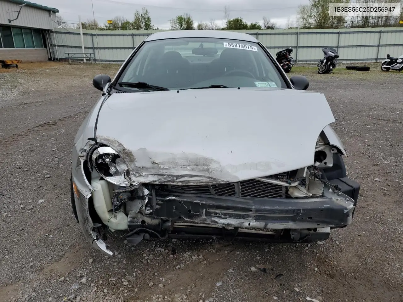 2005 Dodge Neon Sxt VIN: 1B3ES56C25D256947 Lot: 55819975