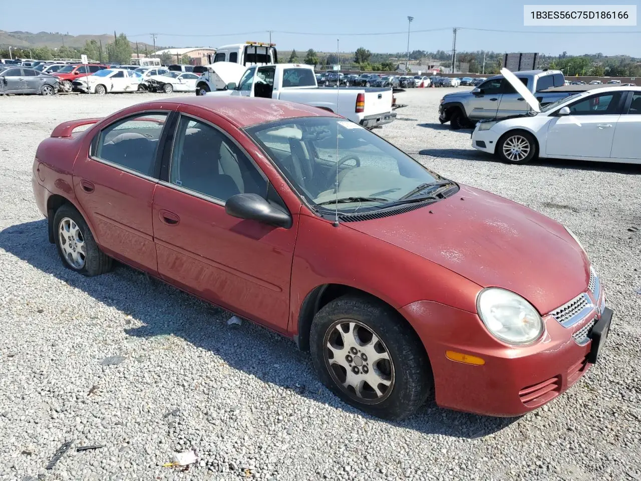 2005 Dodge Neon Sxt VIN: 1B3ES56C75D186166 Lot: 57673335