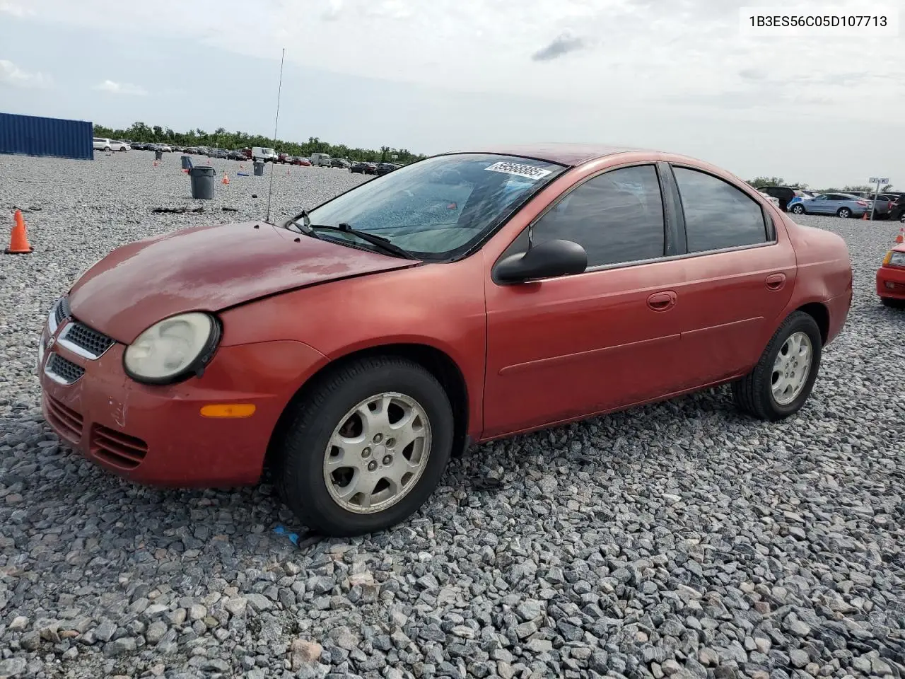 2005 Dodge Neon Sxt VIN: 1B3ES56C05D107713 Lot: 59568885