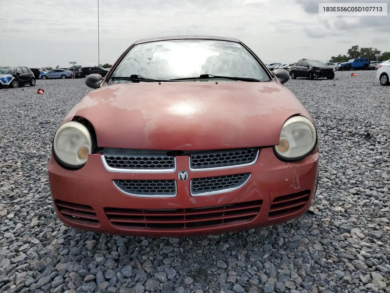 2005 Dodge Neon Sxt VIN: 1B3ES56C05D107713 Lot: 59568885