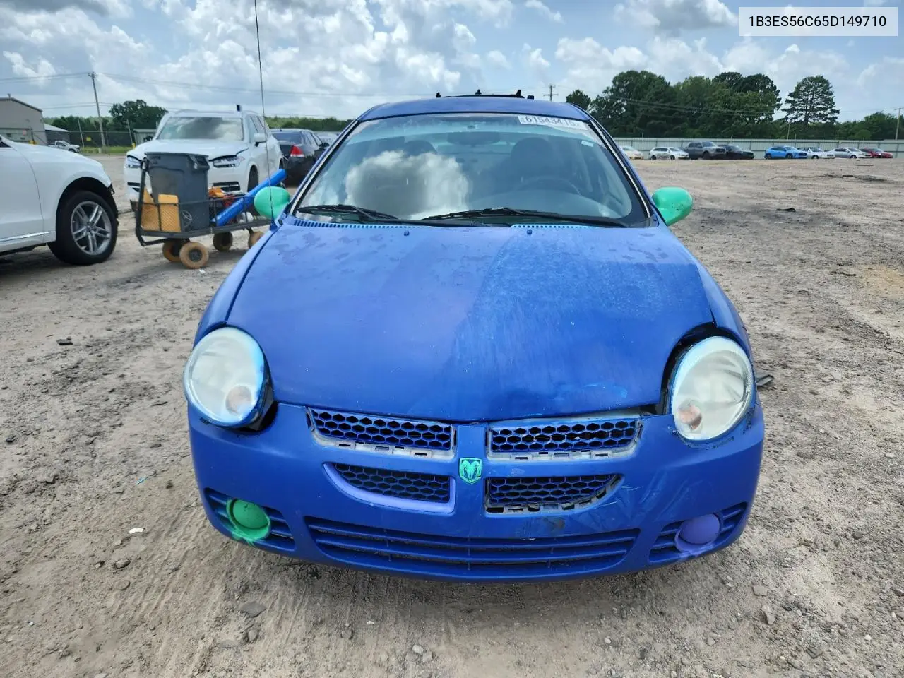 2005 Dodge Neon Sxt VIN: 1B3ES56C65D149710 Lot: 61543415