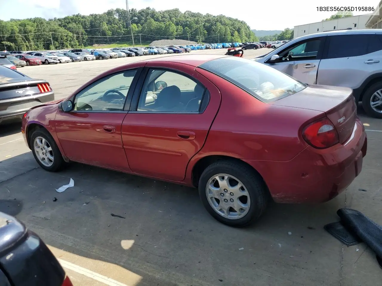 2005 Dodge Neon Sxt VIN: 1B3ES56C95D195886 Lot: 62166755