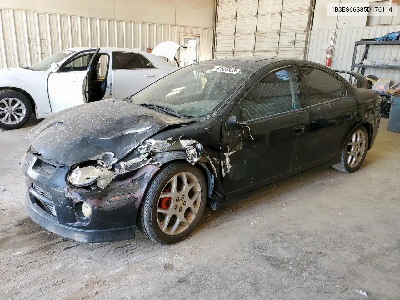 2005 Dodge Neon Srt-4 VIN: 1B3ES66S85D176114 Lot: 62903625