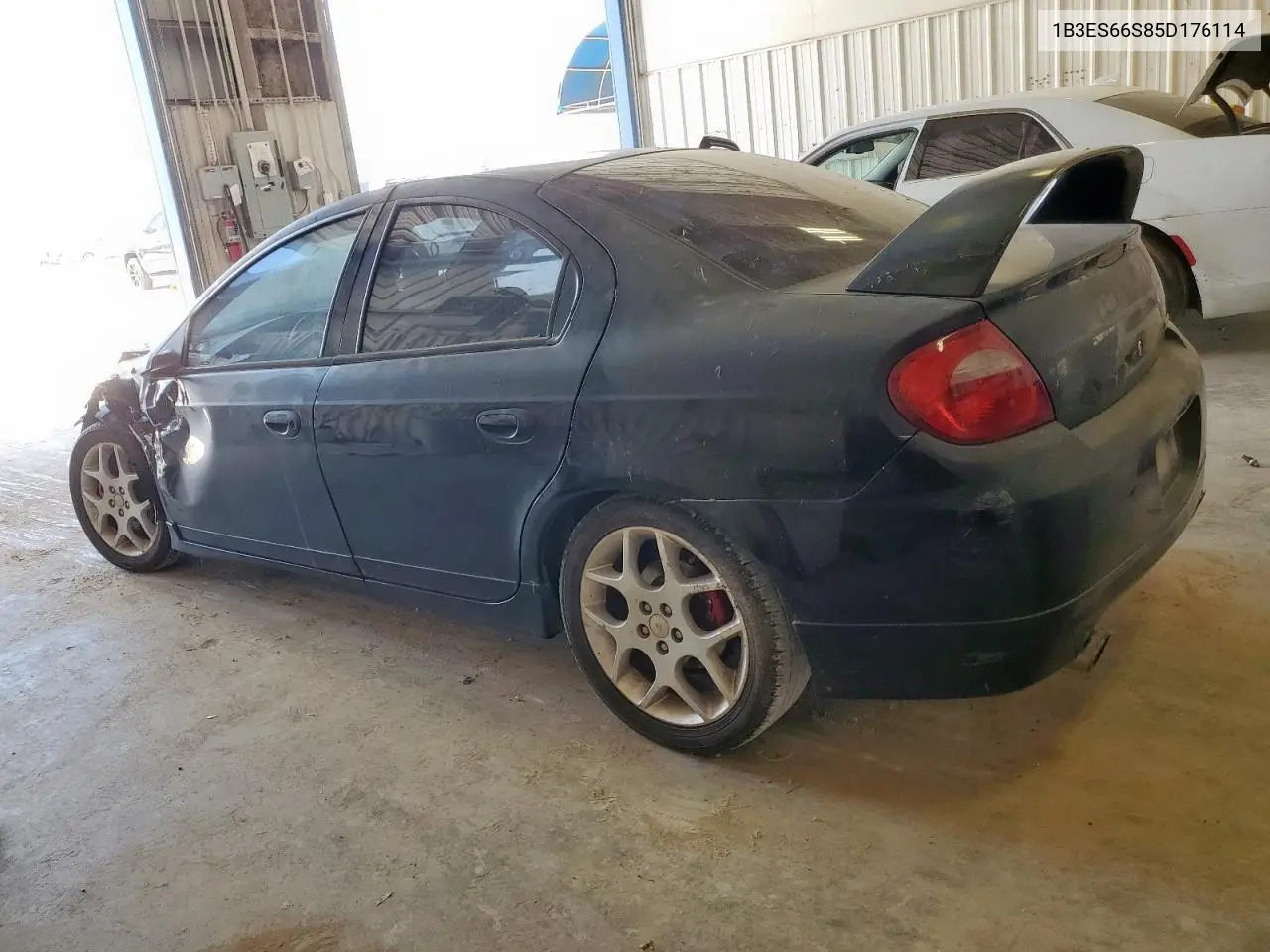 2005 Dodge Neon Srt-4 VIN: 1B3ES66S85D176114 Lot: 62903625