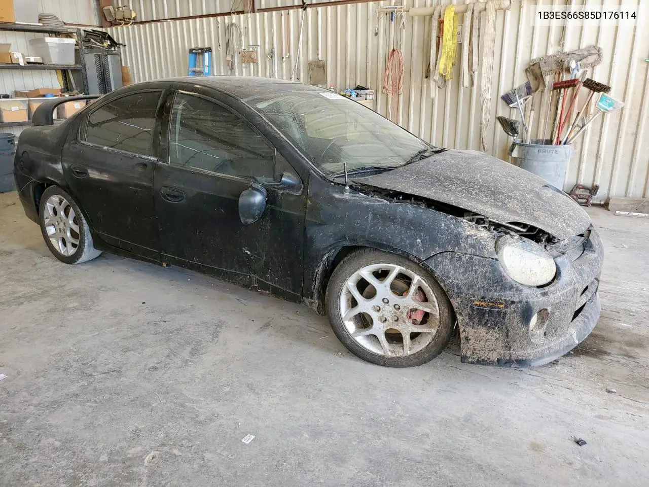 2005 Dodge Neon Srt-4 VIN: 1B3ES66S85D176114 Lot: 62903625