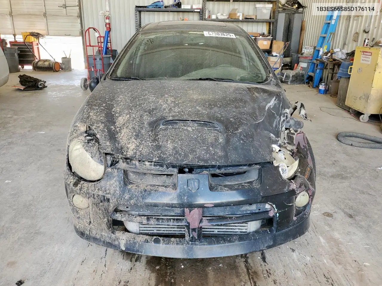 2005 Dodge Neon Srt-4 VIN: 1B3ES66S85D176114 Lot: 62903625