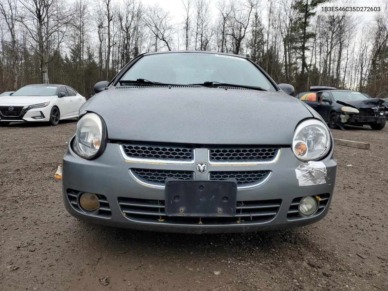 2005 Dodge Neon Sx 2.0 VIN: 1B3ES46C35D272603 Lot: 80932944