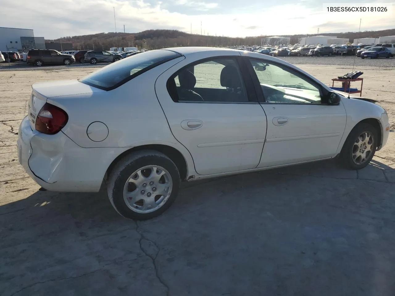 2005 Dodge Neon Sxt VIN: 1B3ES56CX5D181026 Lot: 83031744