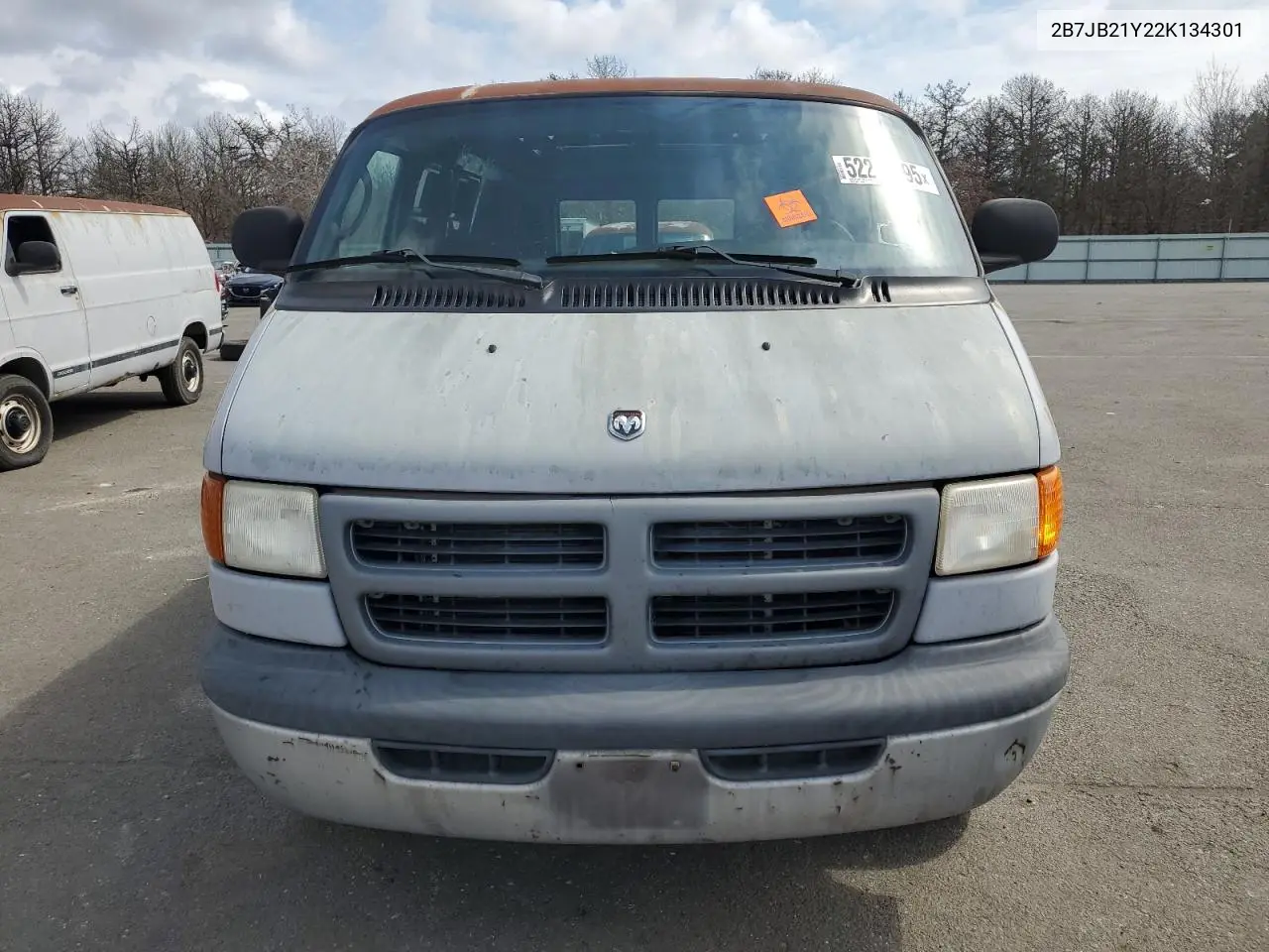 2002 Dodge Ram Van B2500 VIN: 2B7JB21Y22K134301 Lot: 52246795