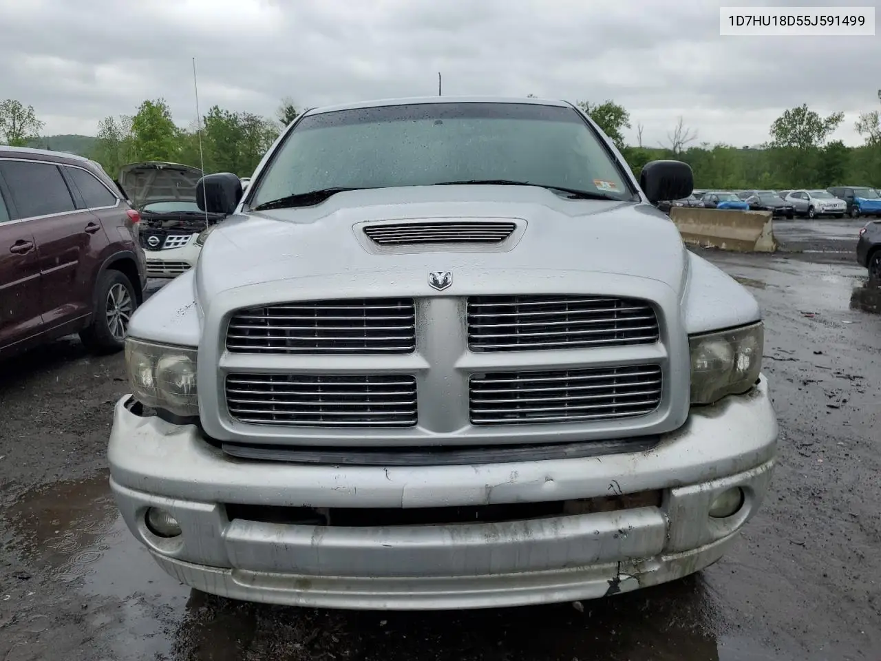 2005 Dodge Ram 1500 St VIN: 1D7HU18D55J591499 Lot: 56966595