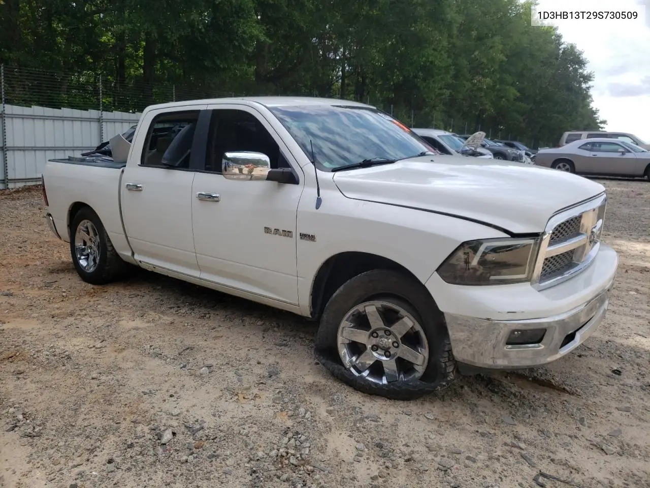 2009 Dodge Ram 1500 VIN: 1D3HB13T29S730509 Lot: 59987355