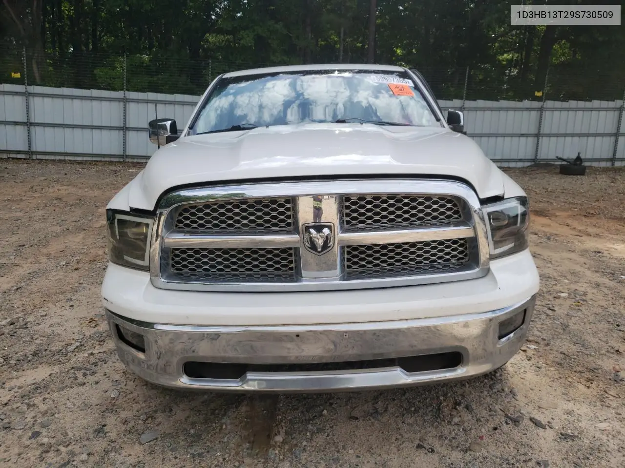 2009 Dodge Ram 1500 VIN: 1D3HB13T29S730509 Lot: 59987355