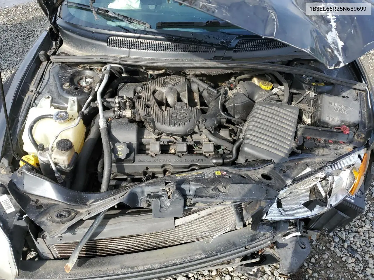 2005 Dodge Stratus R/T VIN: 1B3EL66R25N689699 Lot: 52439895