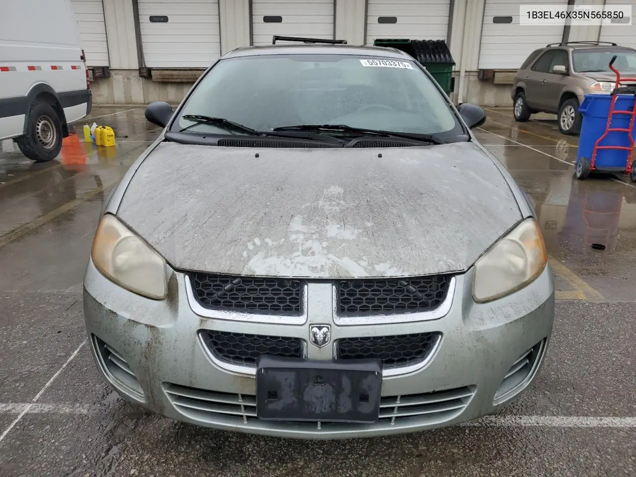 2005 Dodge Stratus Sxt VIN: 1B3EL46X35N565850 Lot: 55703375