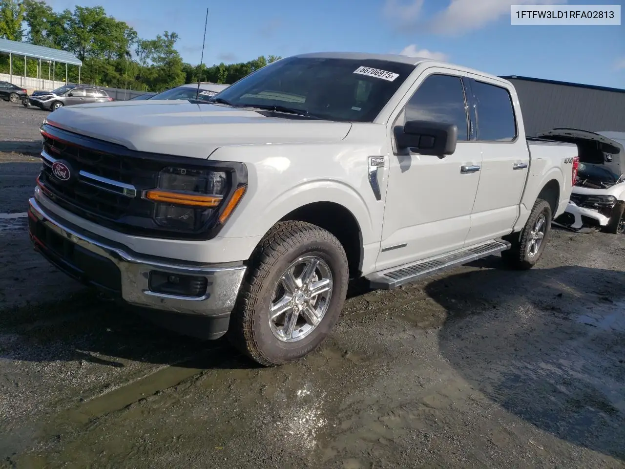 2024 Ford F150 Xlt VIN: 1FTFW3LD1RFA02813 Lot: 56706975