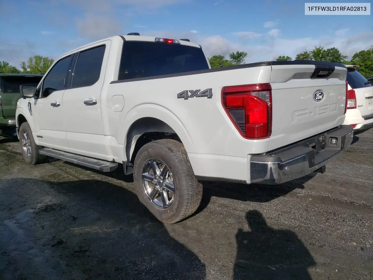 2024 Ford F150 Xlt VIN: 1FTFW3LD1RFA02813 Lot: 56706975