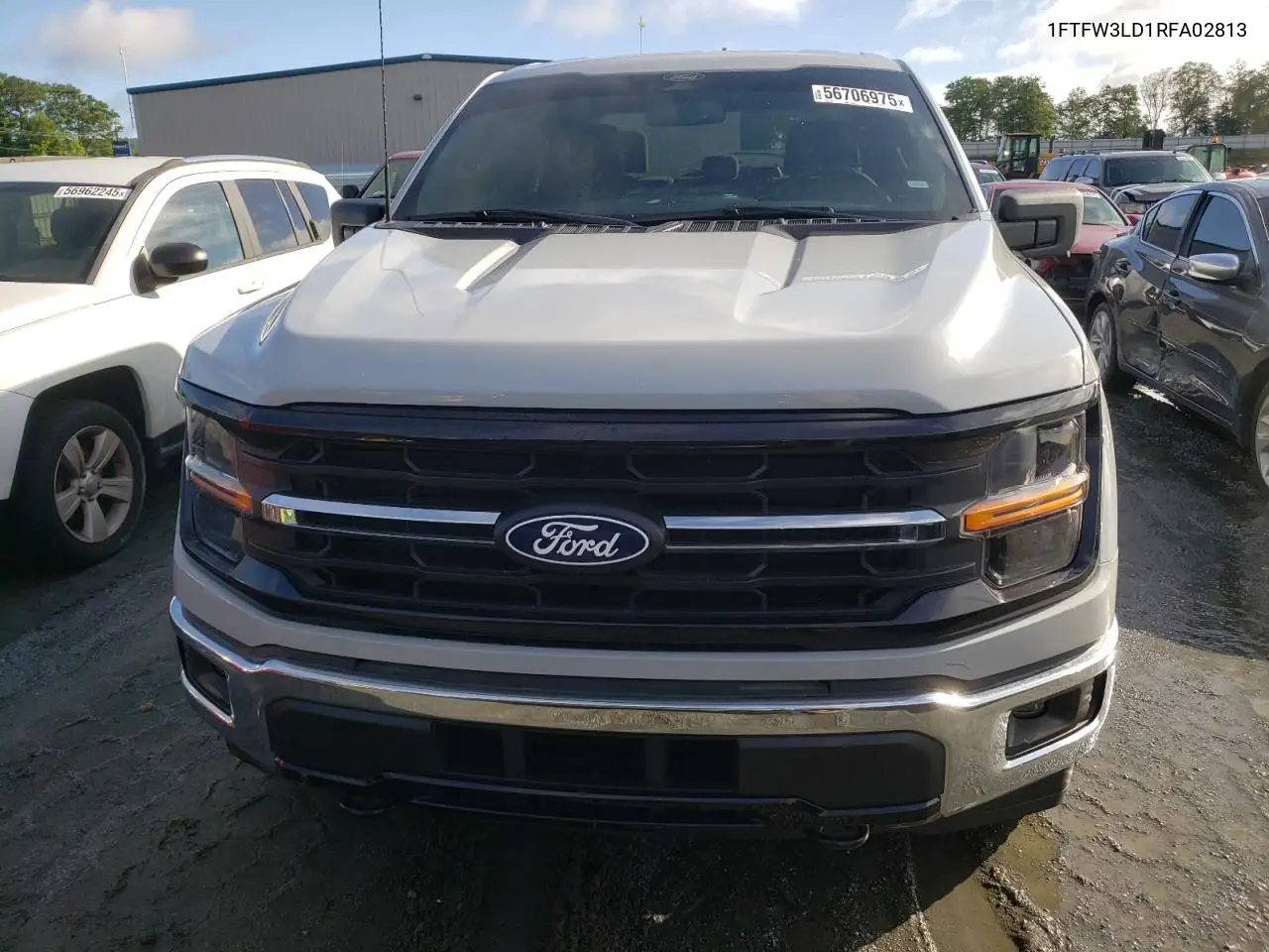 2024 Ford F150 Xlt VIN: 1FTFW3LD1RFA02813 Lot: 56706975