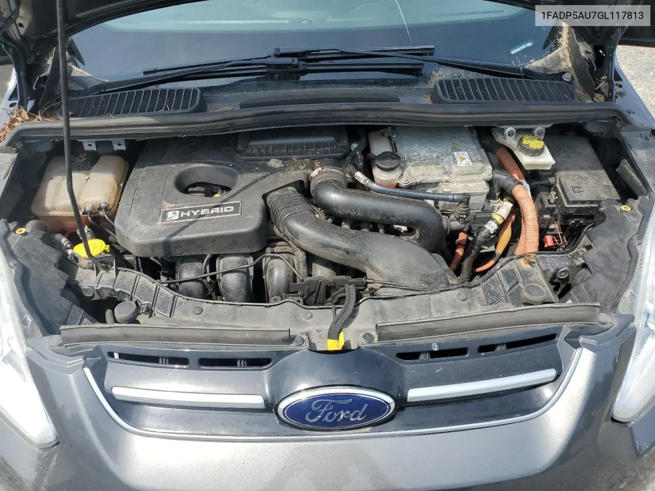 2016 Ford C-Max Se VIN: 1FADP5AU7GL117813 Lot: 57623695