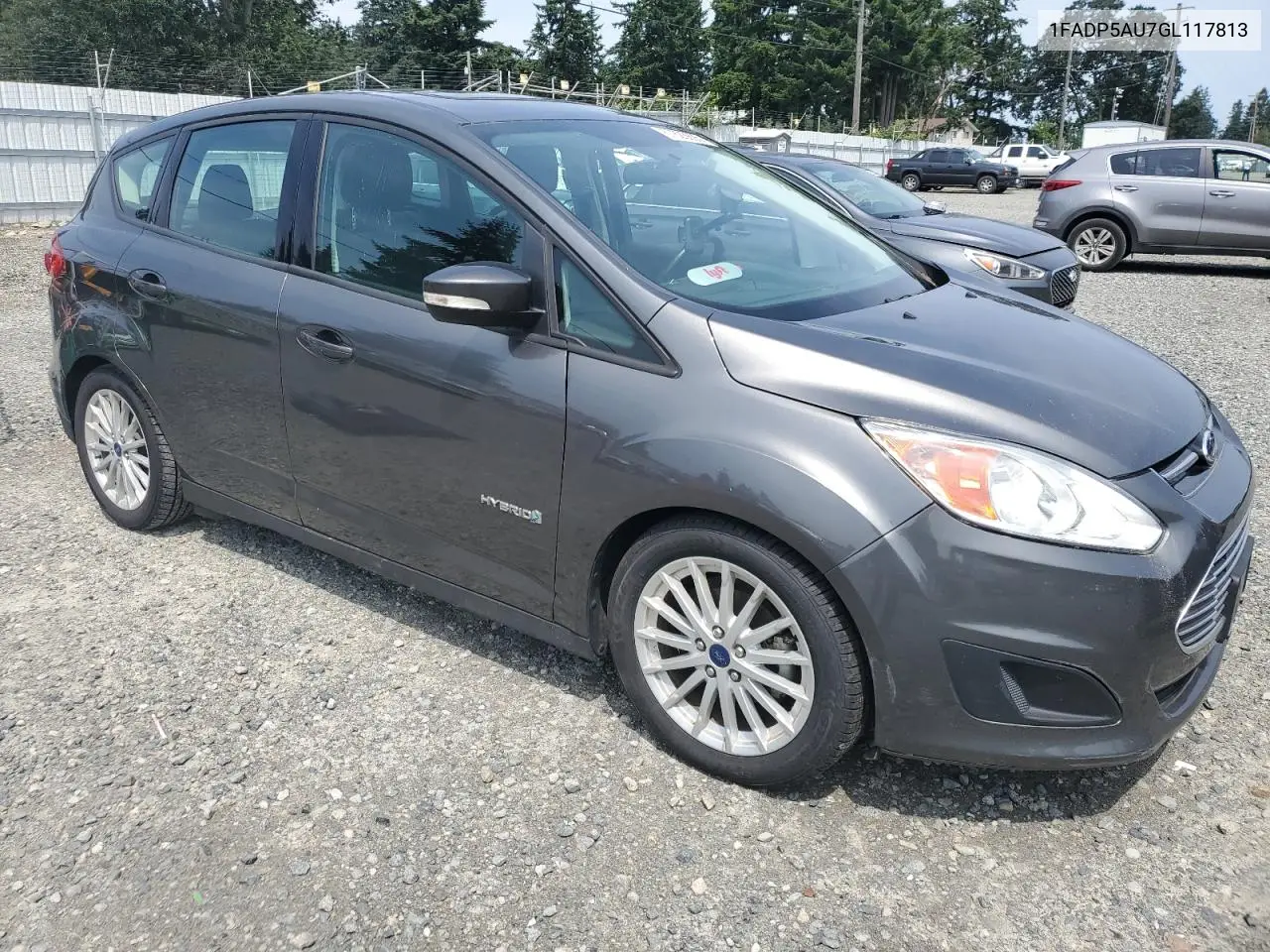 2016 Ford C-Max Se VIN: 1FADP5AU7GL117813 Lot: 57623695