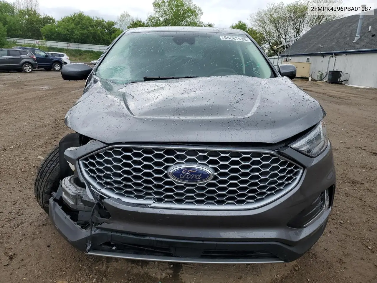2023 Ford Edge Sel VIN: 2FMPK4J96PBA01087 Lot: 56667595