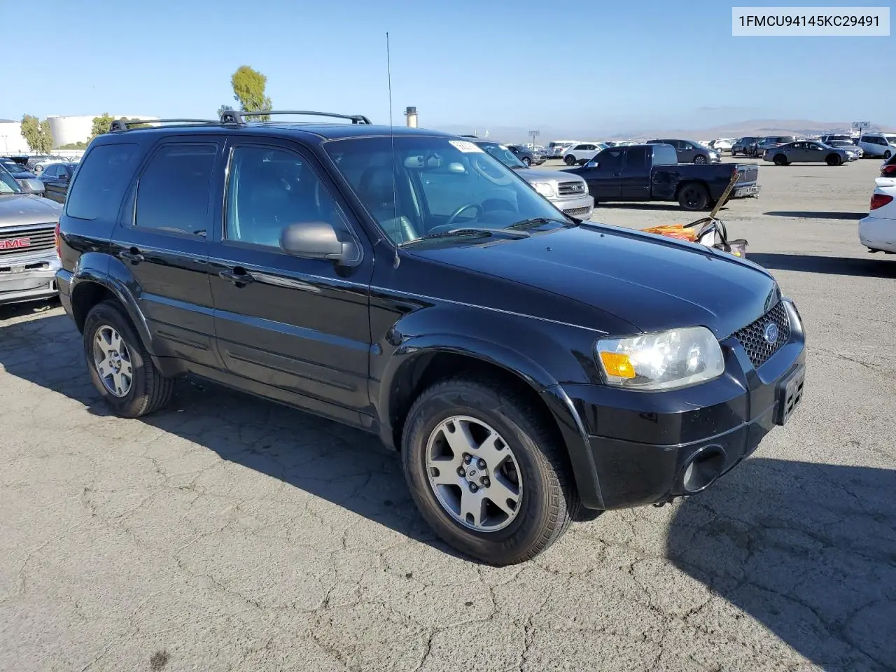 2005 Ford Escape Limited VIN: 1FMCU94145KC29491 Lot: 56800915