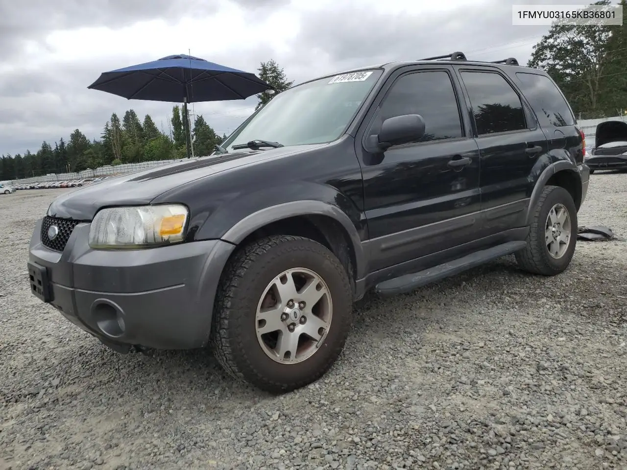 2005 Ford Escape Xlt VIN: 1FMYU03165KB36801 Lot: 61978705