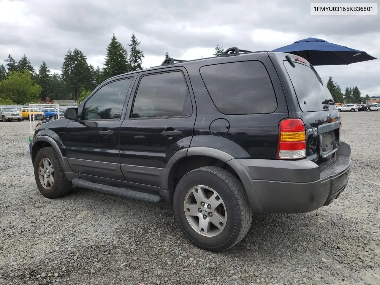 2005 Ford Escape Xlt VIN: 1FMYU03165KB36801 Lot: 61978705
